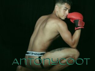 Antonycoot