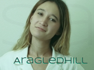Aragledhill