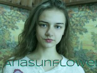 Ariasunflower