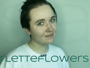 Arletteflowers