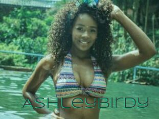 Ashleybirdy