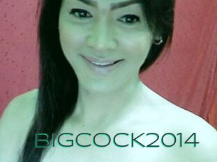 BIGCOCK2014