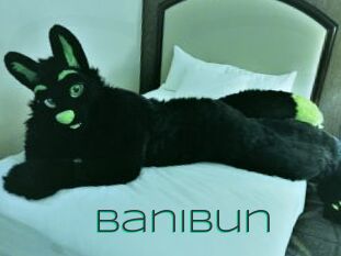 BaniBun