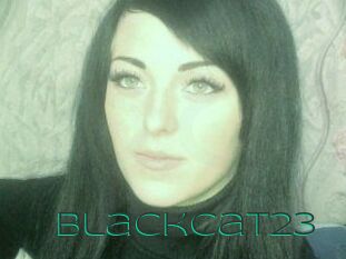 BlackCat23