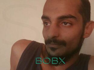 BobX