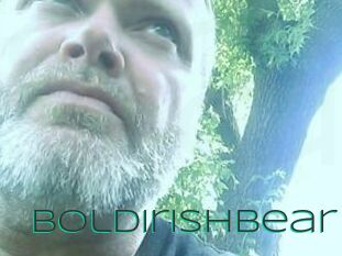 BoldIrishBear