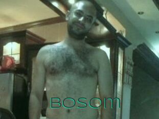 Bosom