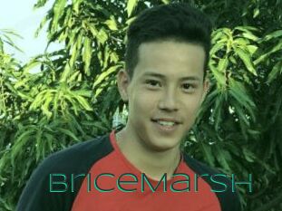 BriceMarsh