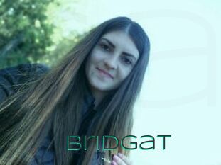 Bridgat