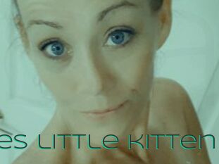 Bullies_little_kitten