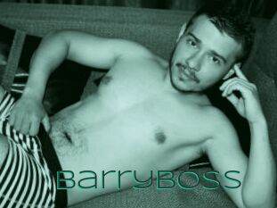 Barryboss
