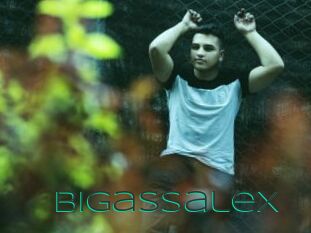 Bigassalex