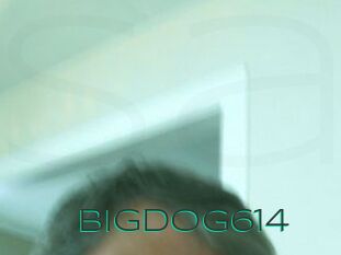 Bigdog614