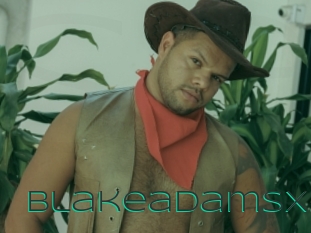 blakeadamsx Sex Agent
