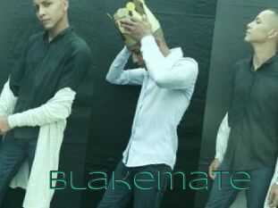 Blakemate
