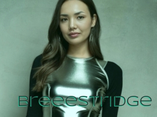 Breeestridge
