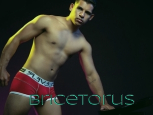 Bricetorus