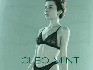 CLEO_MINT