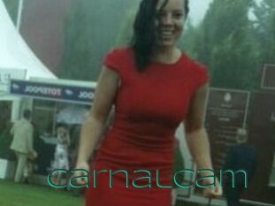 CarnalCam