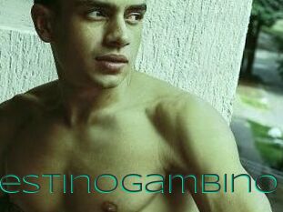 CelestinoGambino