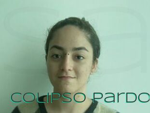 Colipso_Pardo