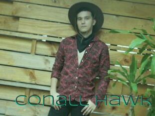 Conall_Hawk