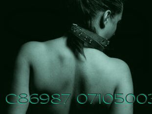 C86987-07105003