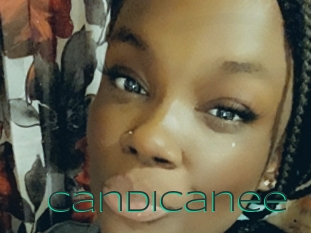 Candicanee