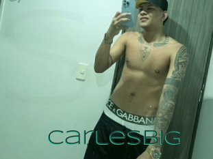 carlesbig Sex Agent