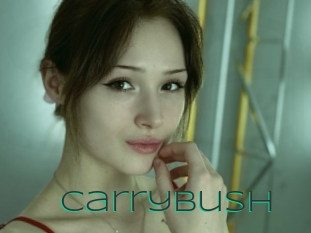 Carrybush
