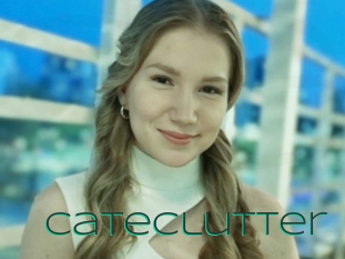 Cateclutter