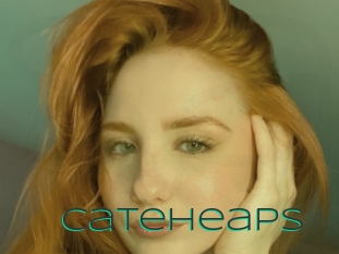 Cateheaps