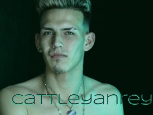 cattleyanrey Sex Agent