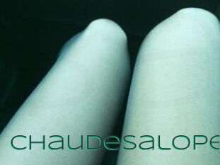 Chaudesalope