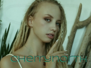 cherrynorth Sex Agent