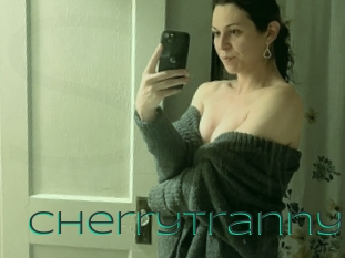 cherrytranny Sex Agent