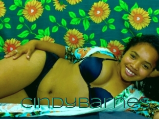 Cindybarnes