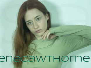Cwenecawthorne