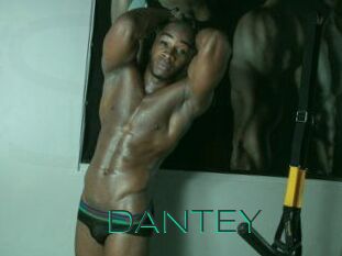 DANTE_Y