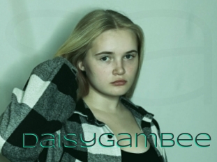 Daisygambee