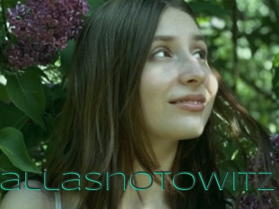 Dallasnotowitz