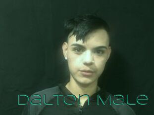 Dalton_Male