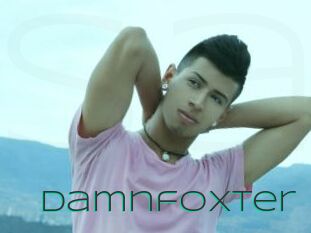 Damnfoxter