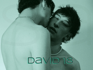 david_18 Sex Agent