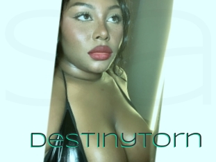 Destinytorn
