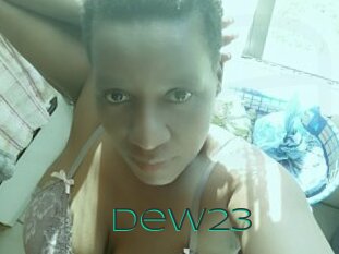 Dew23