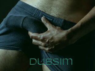 Dubsim