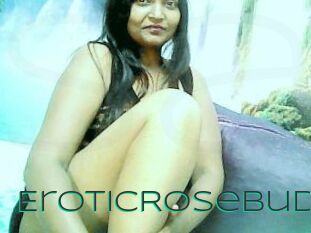EroticRoseBud