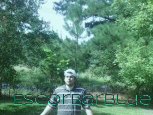 Escorbar_Blue