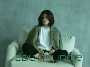 Edlinfudge